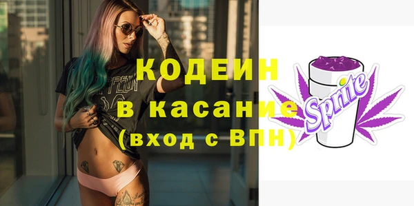 стаф Гусь-Хрустальный