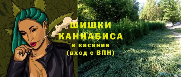стаф Гусь-Хрустальный
