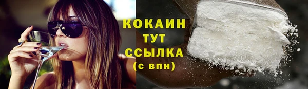 спиды Гусев
