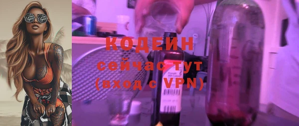 стаф Гусь-Хрустальный