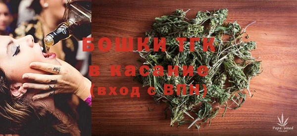 спиды Гусев