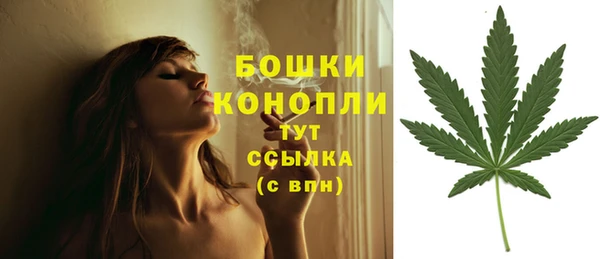 стаф Гусь-Хрустальный