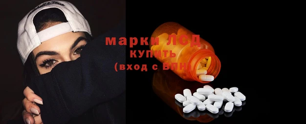 спиды Гусев