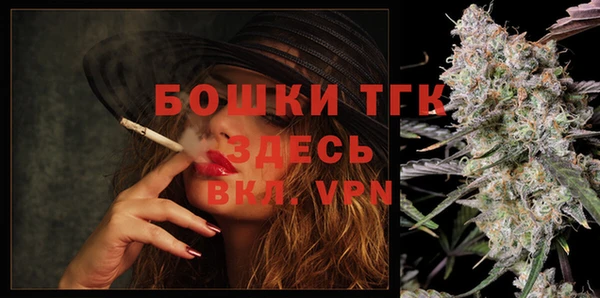 стаф Гусь-Хрустальный