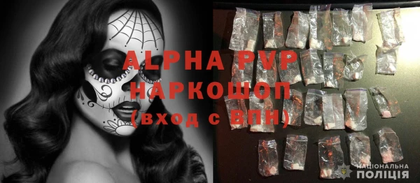 стаф Гусь-Хрустальный