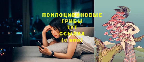 стаф Гусь-Хрустальный