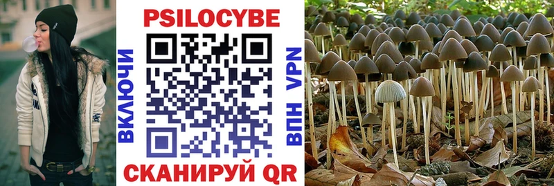 Галлюциногенные грибы Psilocybine cubensis Первомайск
